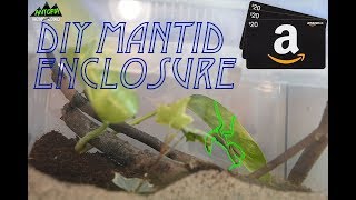 How to take care of a praying mantis! - Mantis care guide!