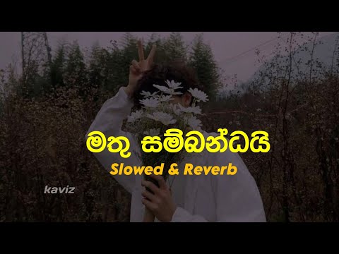 Mathu Sambandai { slowed & reverb }