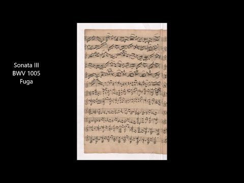 J.S.Bach Sonata III for Violin Solo BWV 1005 Fuga