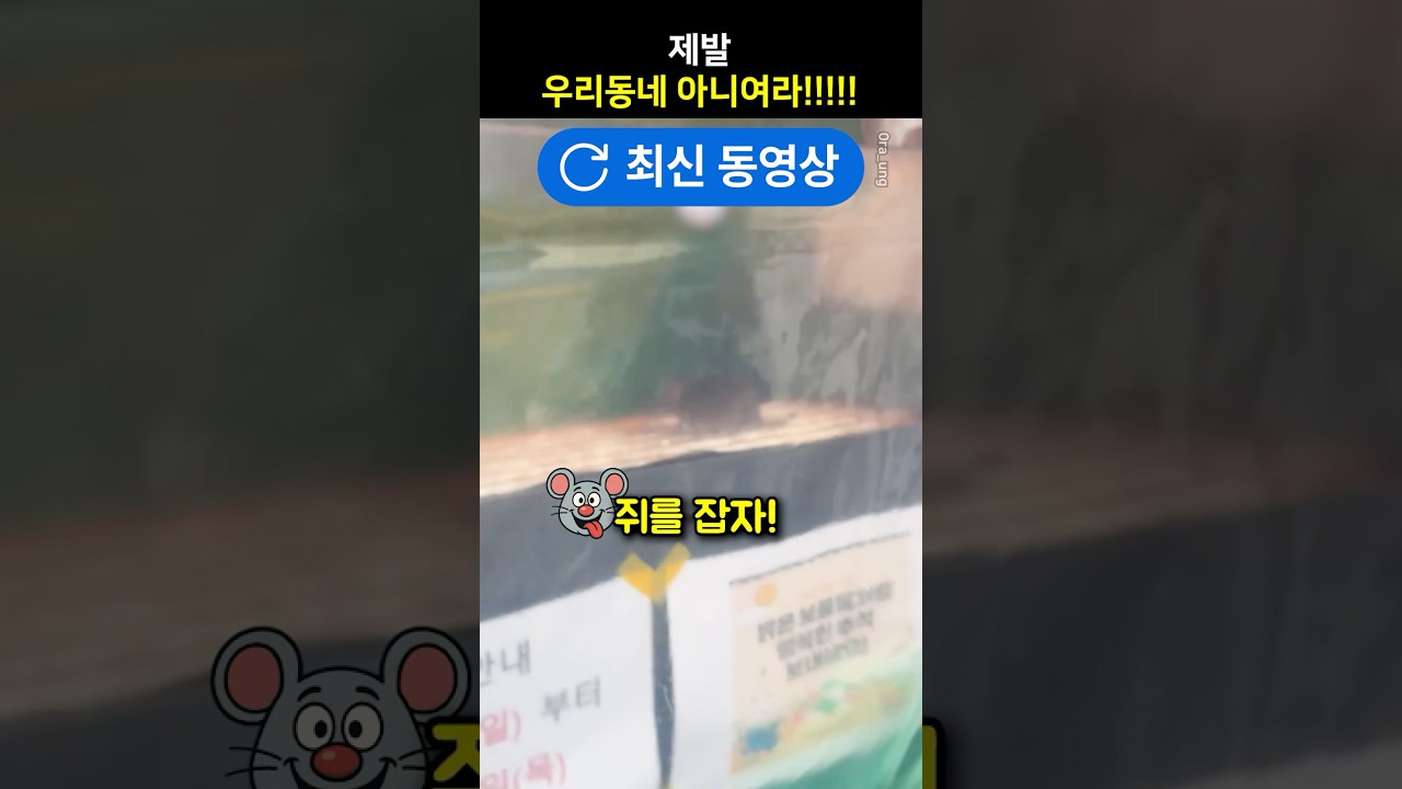 제발 우리 동네 아니여라!!!!!