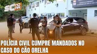 Polícia Civil realiza operação no caso do cão comunitário Orelha