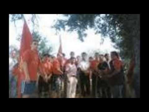 pesna za taska mitreva video