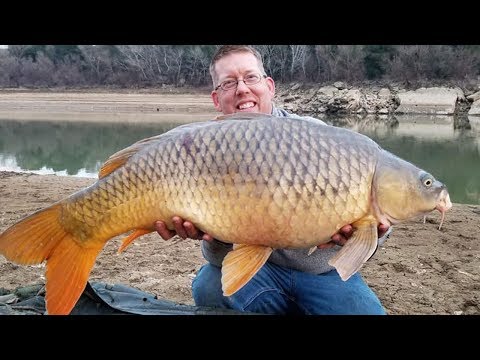 Carp Fishing in Spain - Catching Carp on the Ebro River - Guided Carp Fishing Trip
