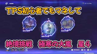 【原神】TPS初心者でもマネして　絶境挑戦　極寒の大嵐　星４　をとる【Genshin Impact】