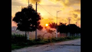 Morning sunrise cinematic video | Sunrise WhatsApp status video clips |   #evninhsunrise  #sunruse