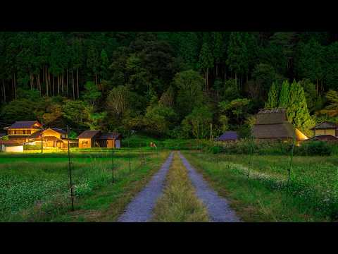 Dusk Walk at Kayabuki no Sato: Miyama Farming Village | Kyoto, Japan 4K Countryside
