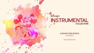 Disney Instrumental ǀ Neverland Orchestra - A Whole New World