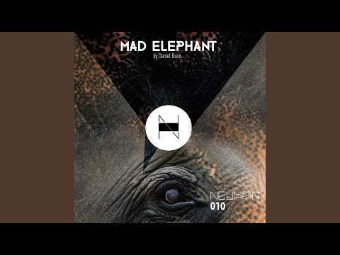 Mad Elephant