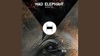 Mad Elephant