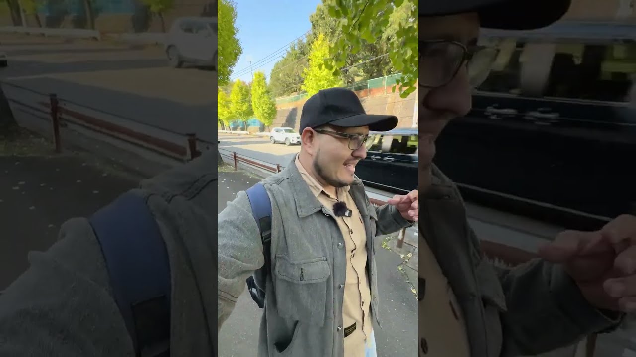 Lo que nadie cuenta de Japón