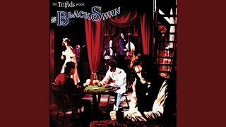 Bottle of Love (Demo Version)