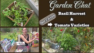 Basil Harvest & Best and Worst Tomato Varieties