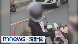 [討論] 吱迷的領地意識是來自於全猿主場嗎?