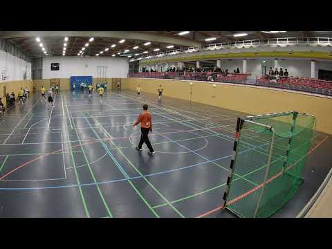 HV Plessa vs TSG Lübbenau II  #Saison24/25 #Handball #Brandenburg #Landesliga #Kamera2