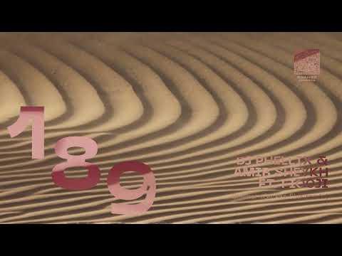 SHNG189 DJ Phellix & Amir Sheykh ft  Fiooji-Ghamar (Serkan Eles remix)