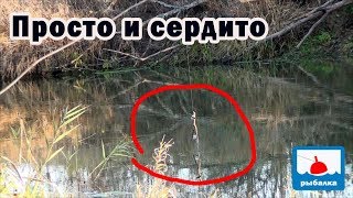 Оснастки на щуку в коряжистых местах