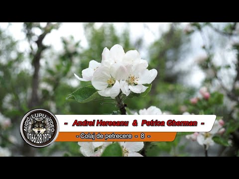 Andrei Heresanu & Petrica Gherman - Colaj de petrecere - 8  --