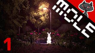 1〘深淵〙白うさぎが導く穴の奥底に眠る記憶『Mole』@msBean  🔴ライブアーカイブ