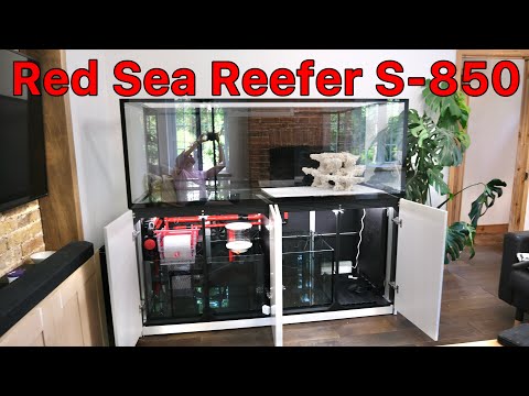 Red Sea Reefer S-850 G2+ Episode 2 | Tank Overview