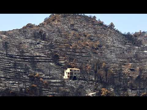 Spanien und Frankreich kämpfen gegen Waldbrände: 17.000 Hektar in Aragón verbrannt