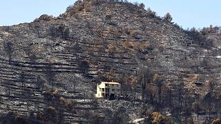 Spanien und Frankreich kämpfen gegen Waldbrände: 17.000 Hektar in Aragón verbrannt