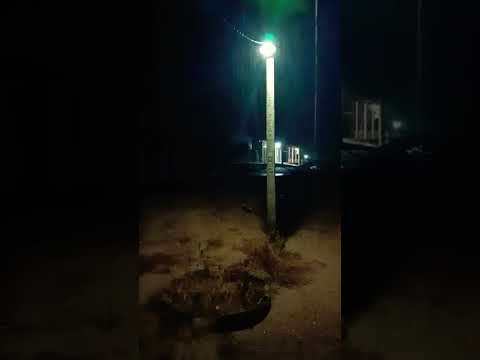 chuva aqui no sítio cabelo carnaiba sertão de Pernambuco #sertão #sítio #chuva