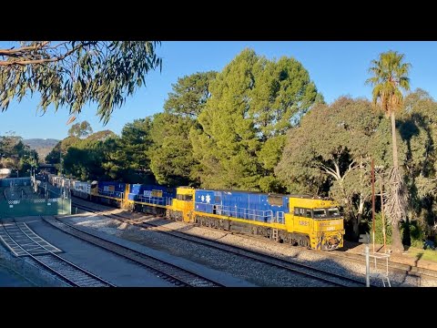 Pacific National Freight - 4MA5 - NR81, NR120, NR37