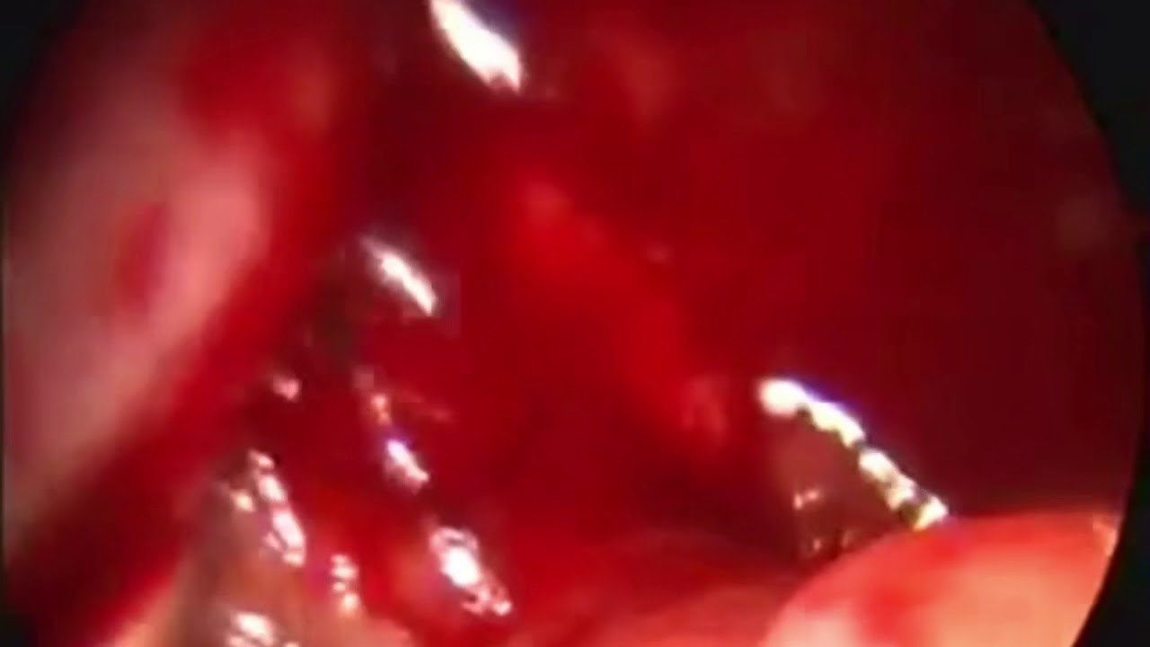 Cecilia Belen Espinosa Arce-36