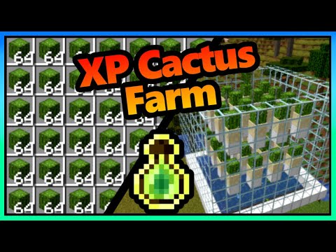 Cactus XP Farm Minecraft | Super Easy | 1.20 - 1.21+