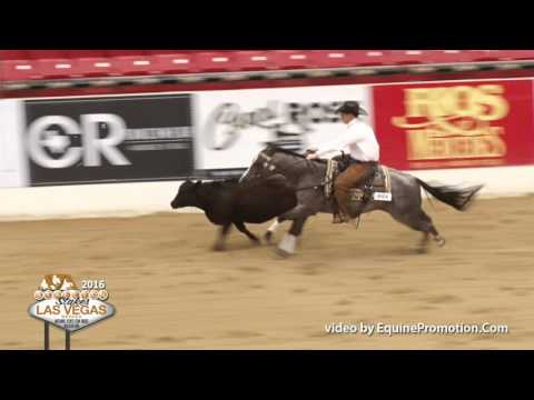 Big Time In Cowtown ridden by John C. Swales  - 2016 NRCHA Stallion Stakes (Cow Work - Open Stakes)