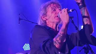 You Am I - Hourly Daily (Live at Metropolis Fremantle 3 May 2025)