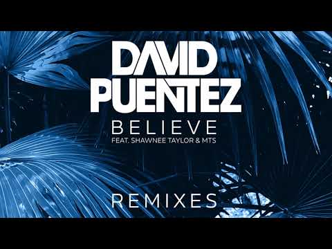 David Puentez ft. Shawnee Taylor & MTS - Believe (Takedown Remix)