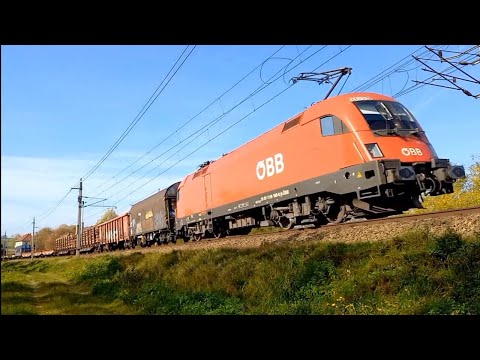 ÖBB Taurus mit tollem gemischten Güterzug ( 1116 185-0 )
