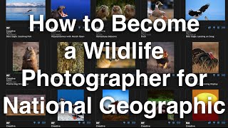 How to Become a Wildlife Photographer for National Geographic