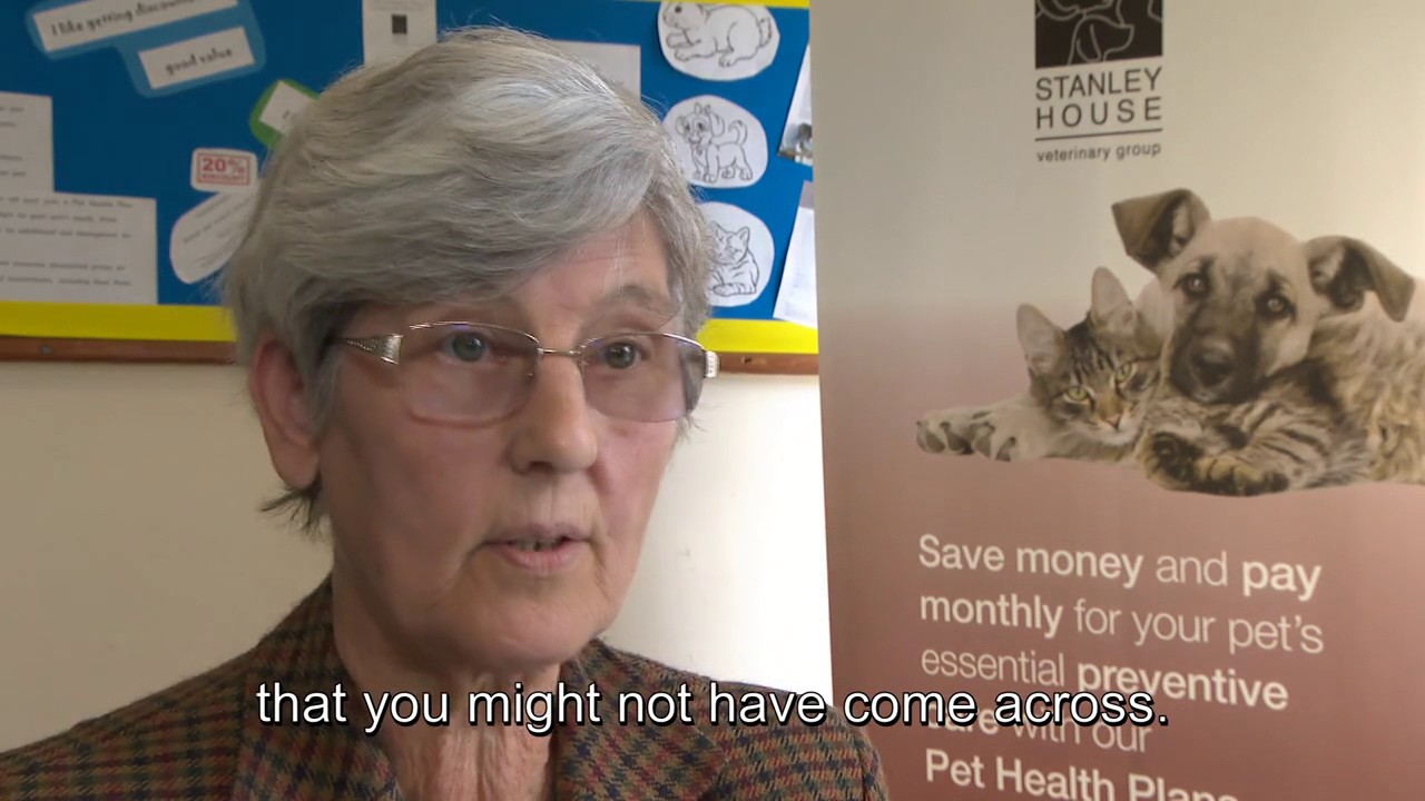 Building client relationships through preventive healthcare - BVA (subtitled)