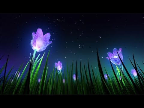 Relaxing Sleep Music and Night Nature Sounds: Soft Crickets, Beautiful Piano, Fall Asleep Fast Video