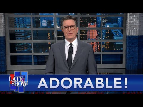 Viral Clip Of Runaway Airport Luggage Is The Pixar Film We Needed | Seditionist Roundup Round Up