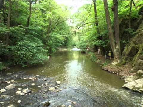 Václav Neckář Teče řeka údolím ( skryjská jezírka )