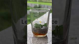 Refreshing Lemon Tea with Honey and Chia Seeds 🍋🍵