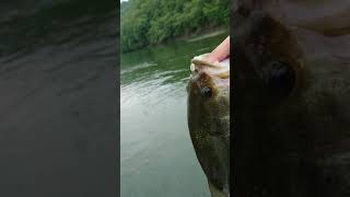 平瀬彪 撮影  プラクティスフィッシュ