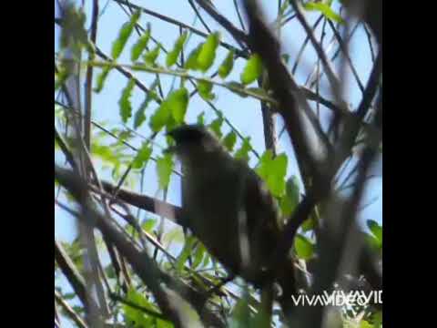 un poco en Rincón del Dolls.. Entre Ríos..