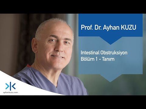 İntestinal Obstrüksiyon Bölüm 1 - Tanım