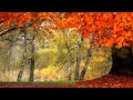 Eva Cassidy ~ Autumn Leaves