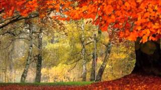 Eva Cassidy ~ Autumn Leaves