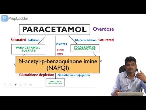Paracetamol toxicity - Biochemical Basis - Lecture