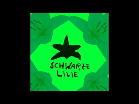 Der Knorkige Don - Schwarze Lillie