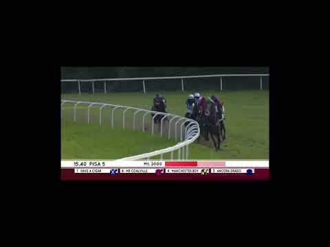 Pisa, Italy - Fegentri World Championship for Gentlemen-riders - Final race 09.11.2024