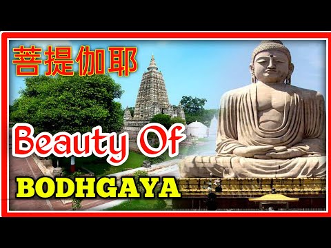 Excursão ao Templo BODHGAYA | Templo Mahabodhi | Estátua de Buda de 80 pés | Templo Chinês | Museu Arqueológico