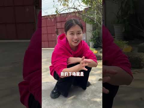 今天遛藏獒！最凶猛的犬种也有反差的一面~ #狗子的迷惑行为 #上门遛狗 #藏獒 #养狗经验分享 #疯铲姐妹