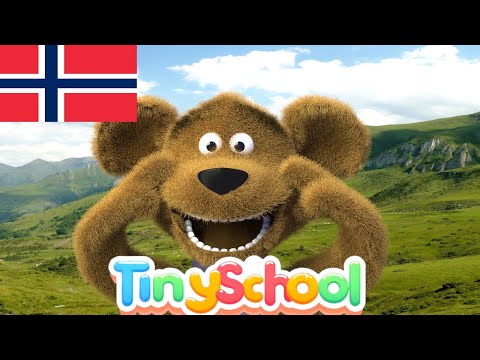 🎵 "Hode, Skulder, Kne og Tå" Med Tinyschool 🇳🇴 | Morsom Læringsvideo For Småbarn 🎉👶